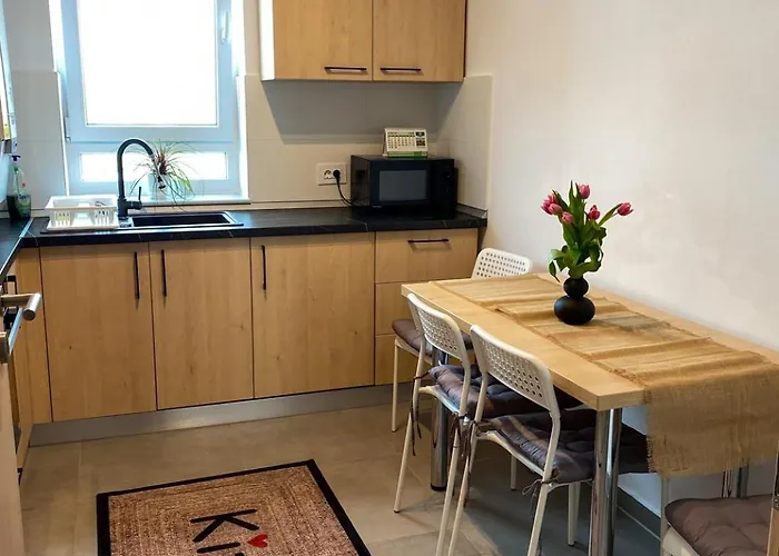 Alina Residence Coresi