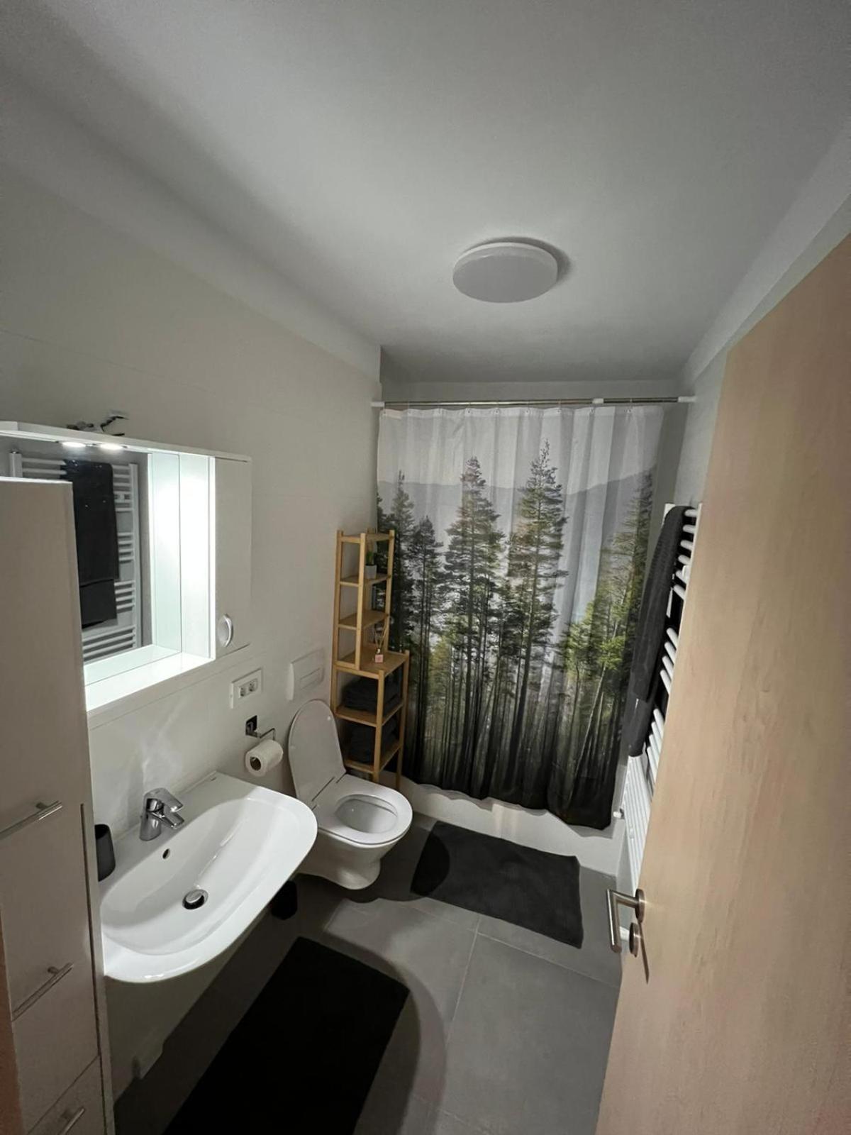 Apartment Alina Coresi Brasov