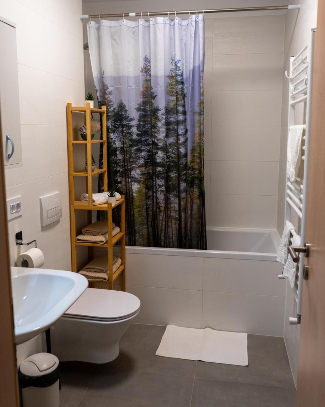 Apartment Alina Coresi