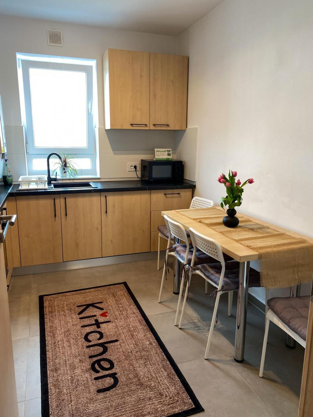 Apartment Alina Coresi