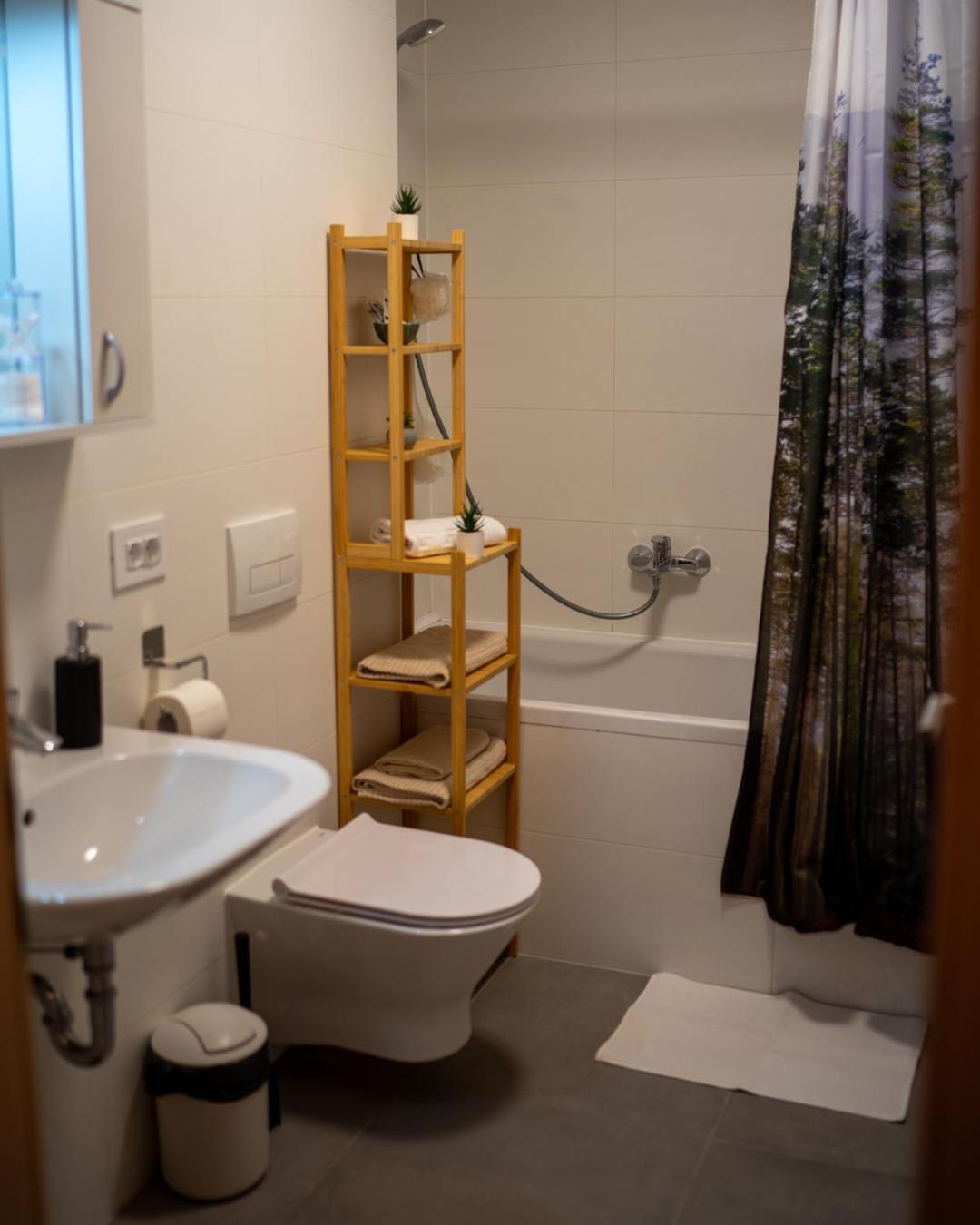 Alina Coresi Apartment Brasov