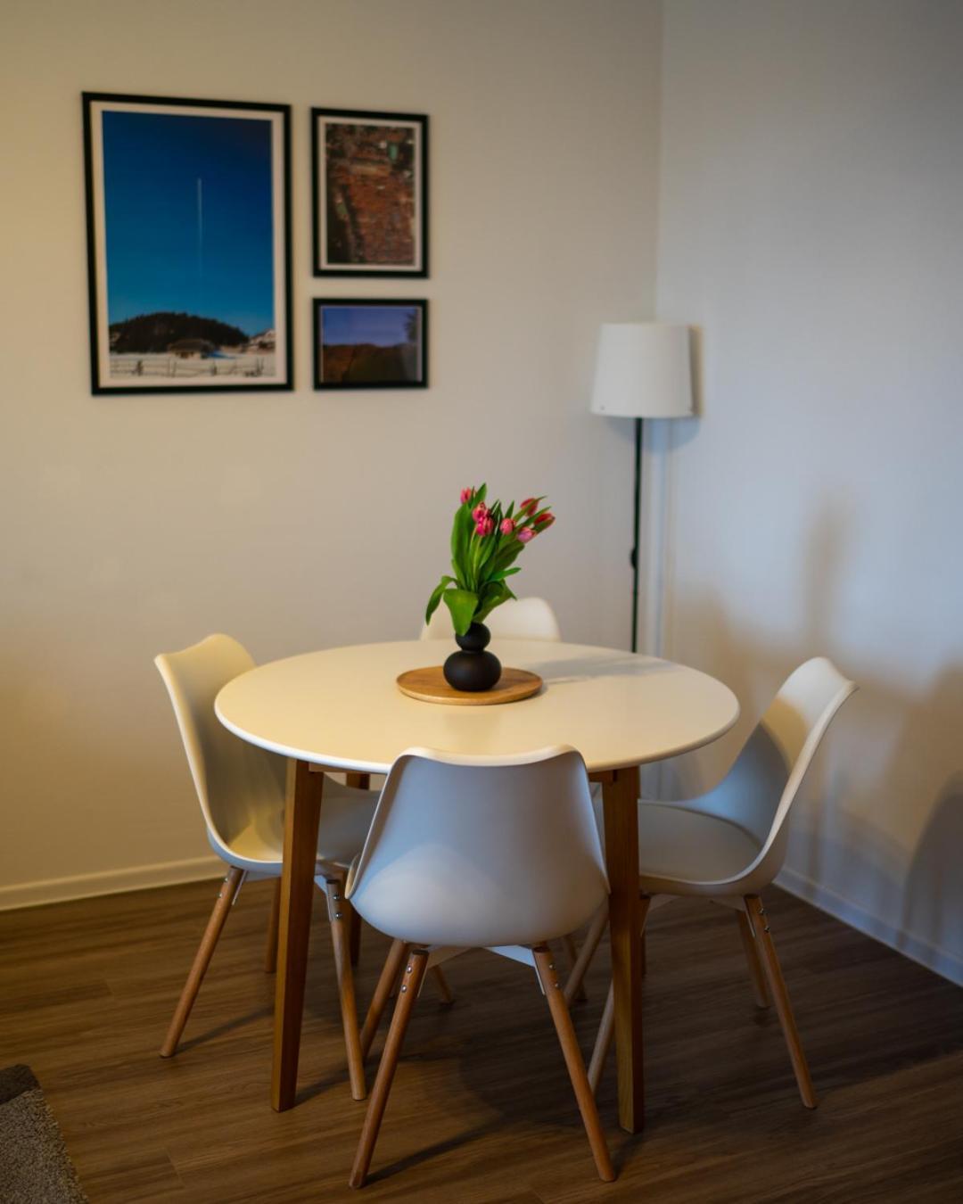 Apartment Alina Coresi Brasov