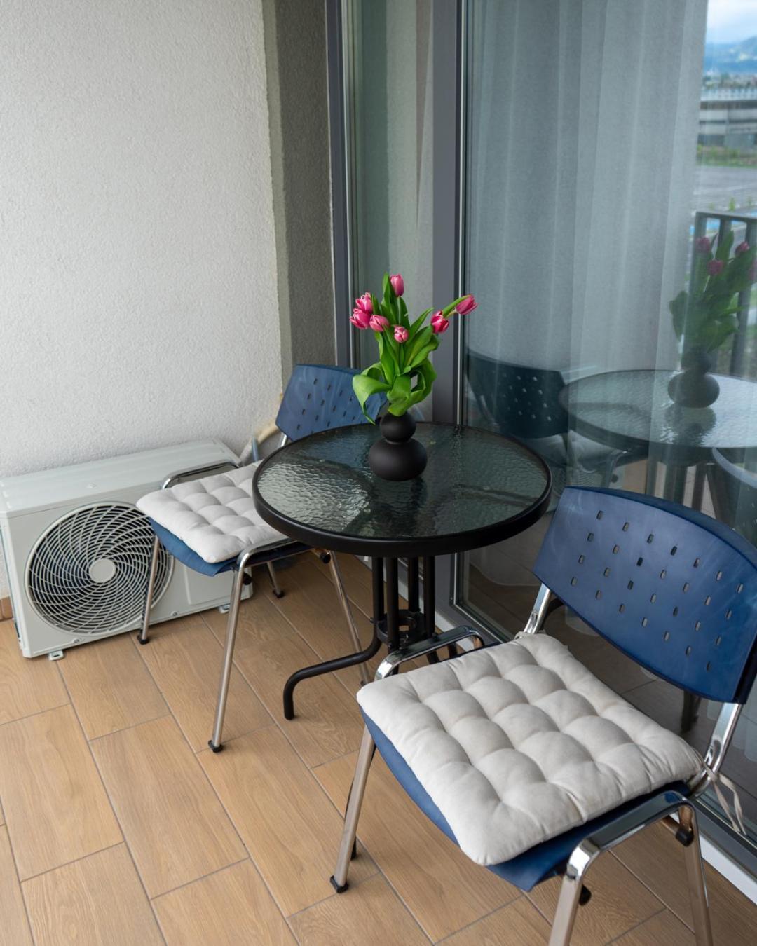 Apartment Alina Coresi *